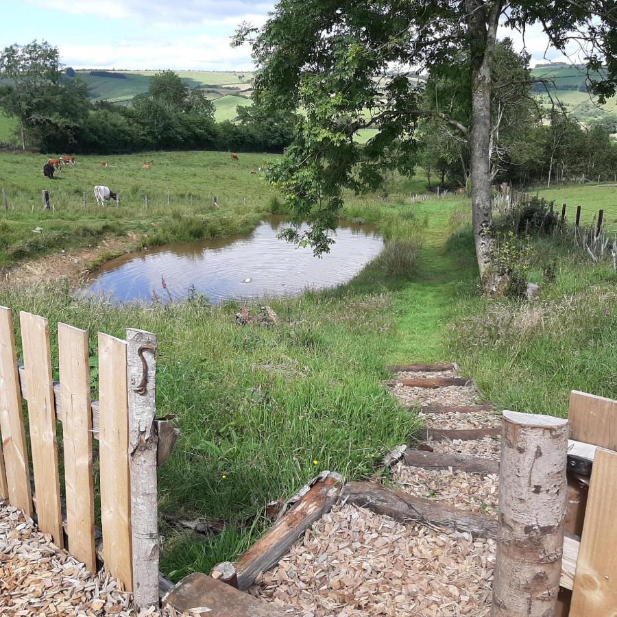 Eco Accommodation Cornflower Craven Arms Exterior photo
