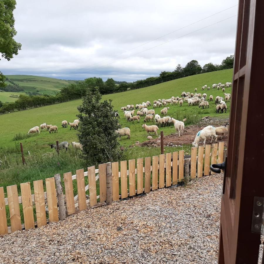 Eco Accommodation Cornflower Craven Arms Exterior photo