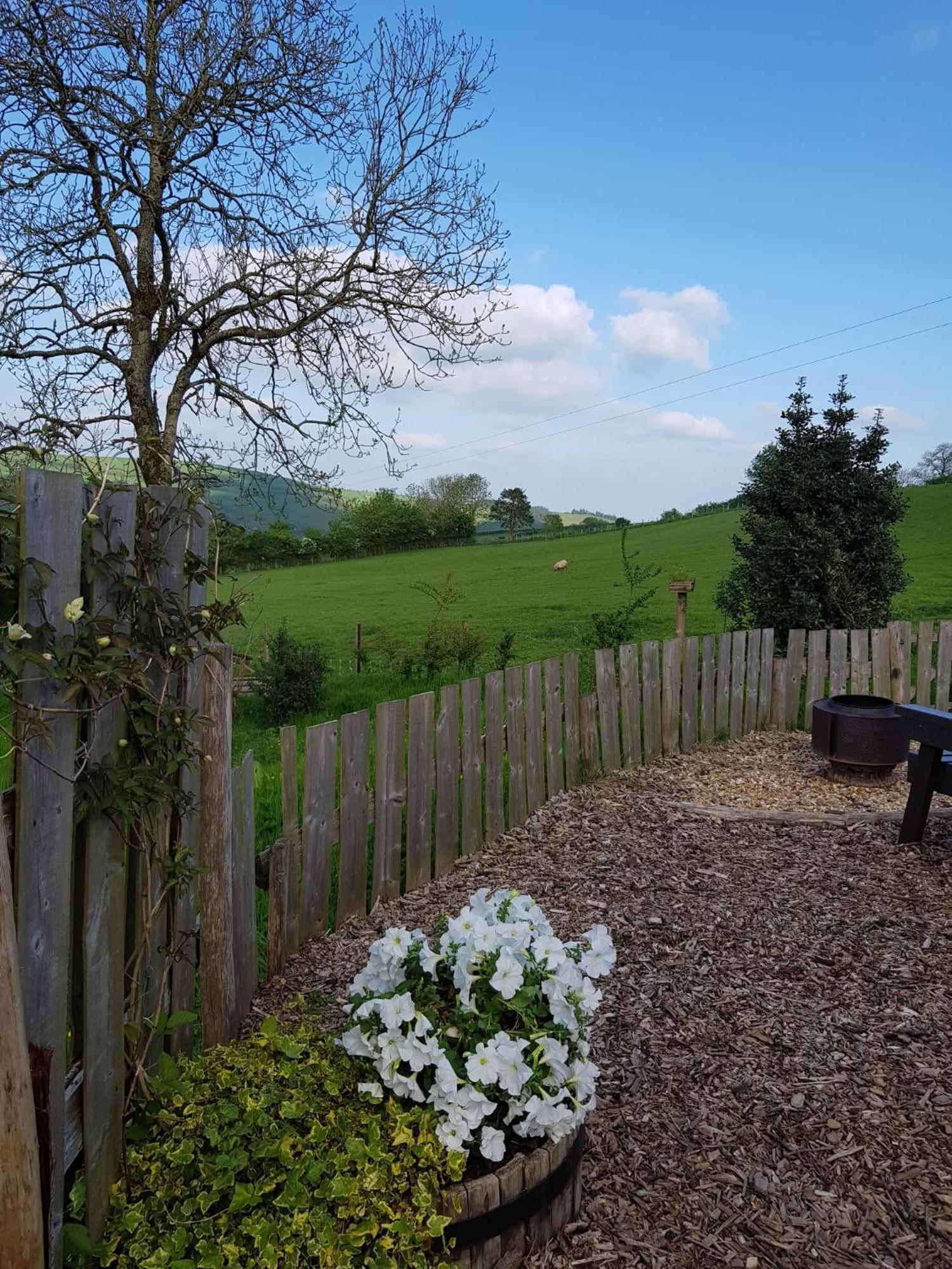 Eco Accommodation Cornflower Craven Arms Exterior photo